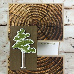 Panel Card using Rooted in Nature