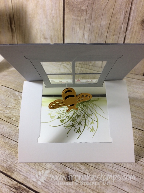 Easel Window Card, Hearht & Home Famelits, Dragonfly Dream Framelits, Stampin'Up