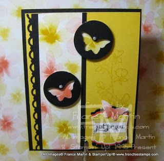 http://www.frenchiestamps.com/2014/01/stampin101-punches.html