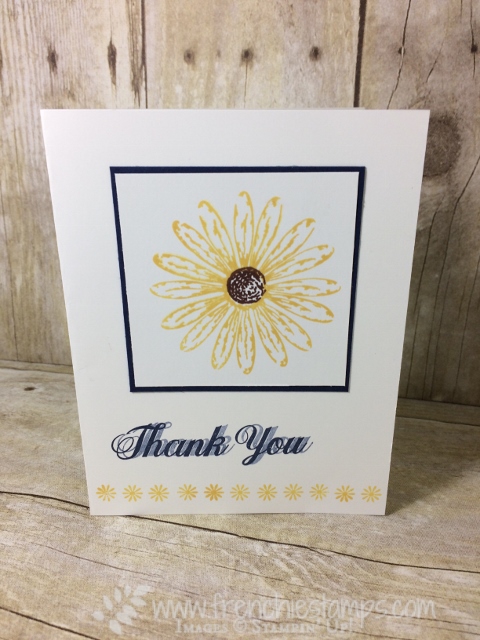 Daisy Delight, Daisy Punch, #stampinup, 