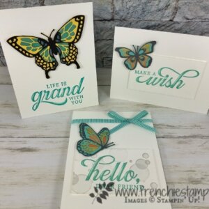 Color Vellum with Butterfly Beauty