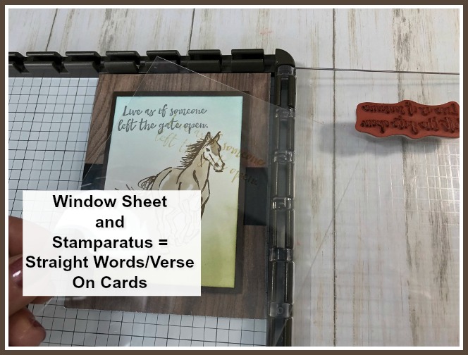 Great tip to use a window sheet and the stamparatus to align your greeting or sentiment on your cards. Stamp set Let It Ride.  All product by Stampin'Up! Available at frenchiestamps.com 
