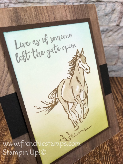 Great tip to use a window sheet and the stamparatus to align your greeting or sentiment on your cards. Stamp set Let It Ride.  All product by Stampin'Up! Available at frenchiestamps.com 
