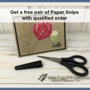 Tips for Paper Snip and how to get a pair free