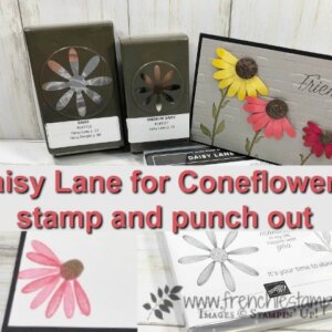 Daisy Lane for Coneflowers, with punch and stamping