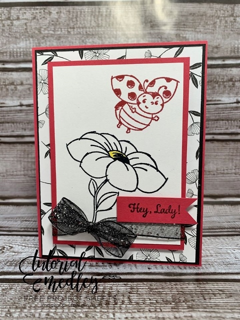 Little Ladybug stamp set. You can qualified to receive this stamp set for free