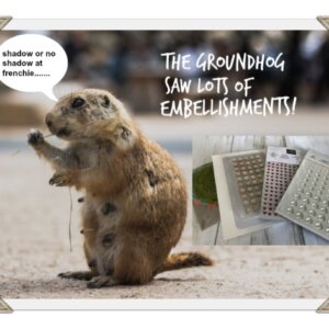 The Groundhog Saw A Shadow Of Embellishments, Get A Sweet Deal….
