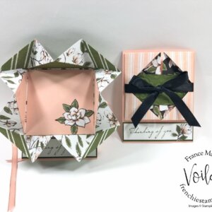 Explosion Card with Magnolia Lane Paper