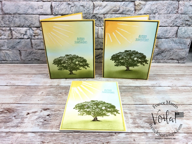 How make Ray of Sunshine on to  a card. Stamp set Rooted Nature. 