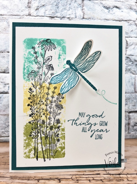Simple ways to add color to a stamped detailed image Dragonfly Garden