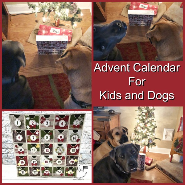 Advent Calendar for Kids and Dogs. 