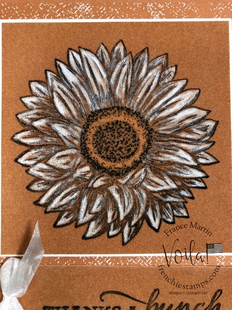 How to Stamp and Color On Color Velveteen Paper