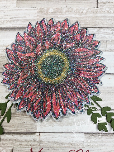 Celebrate Sunflowers   for Christmas card. 