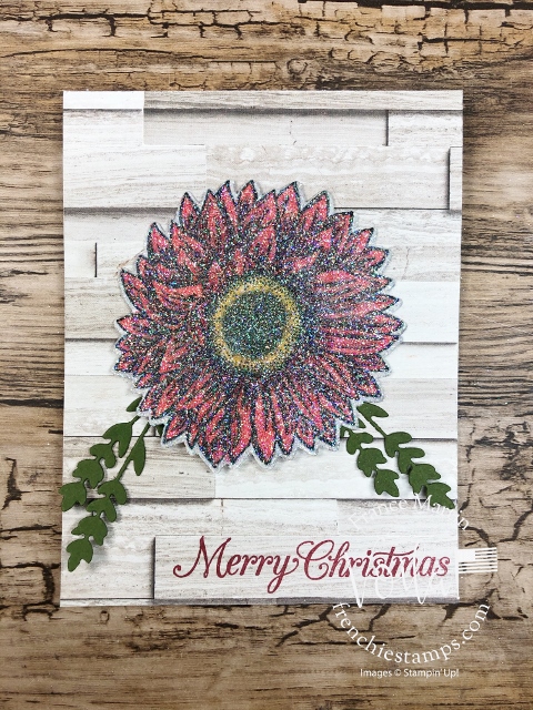 Celebrate Sunflowers   for Christmas card. 