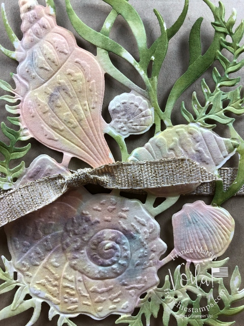 Watercolor with Seaside Seashells Dies, Seashells 3D embossing Folder.