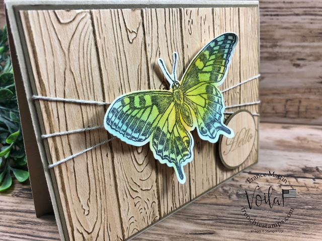 Butterfly Brilliance bundle with the Natural Touch Designer Paper.