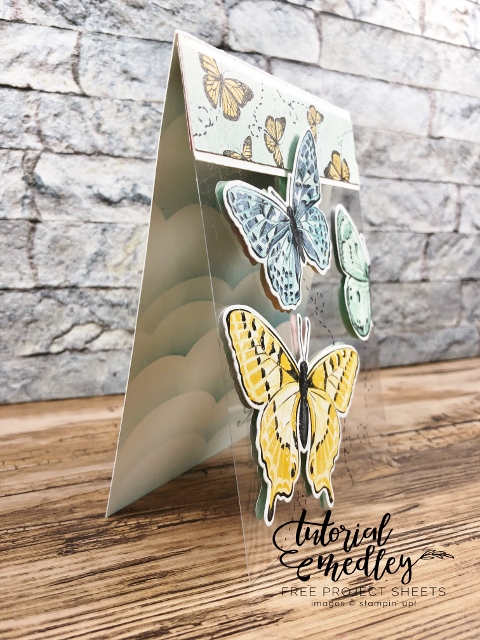 Floating Butterfly with the Butterfly Brilliance bundle .
