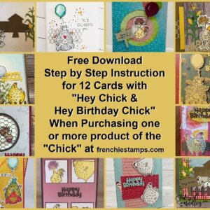 Hey Chick and Hey Birthday Chick 12 Cards