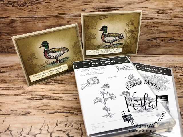 Wood Duck Card with the Field Journal Stamp Set and Watercolor Pencils without Water