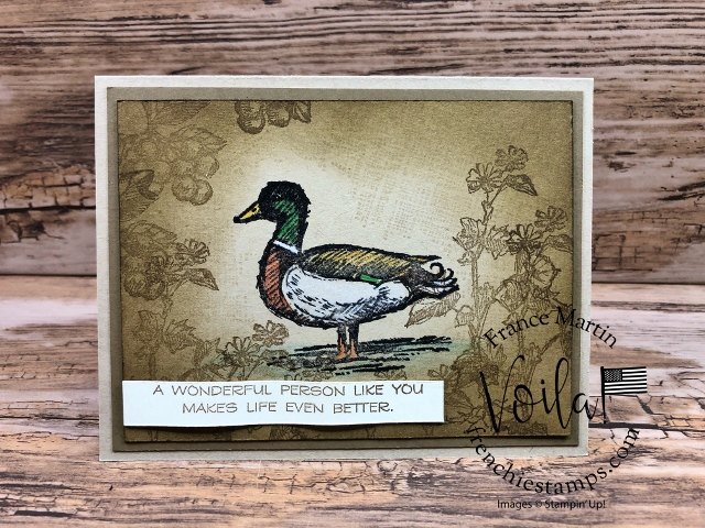 Wood Duck Card with the Field Journal Stamp Set and Watercolor Pencils without Water