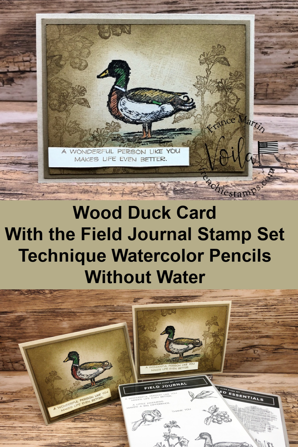 Wood Duck Card with the Field Journal stamp set and watercolor pencils without water