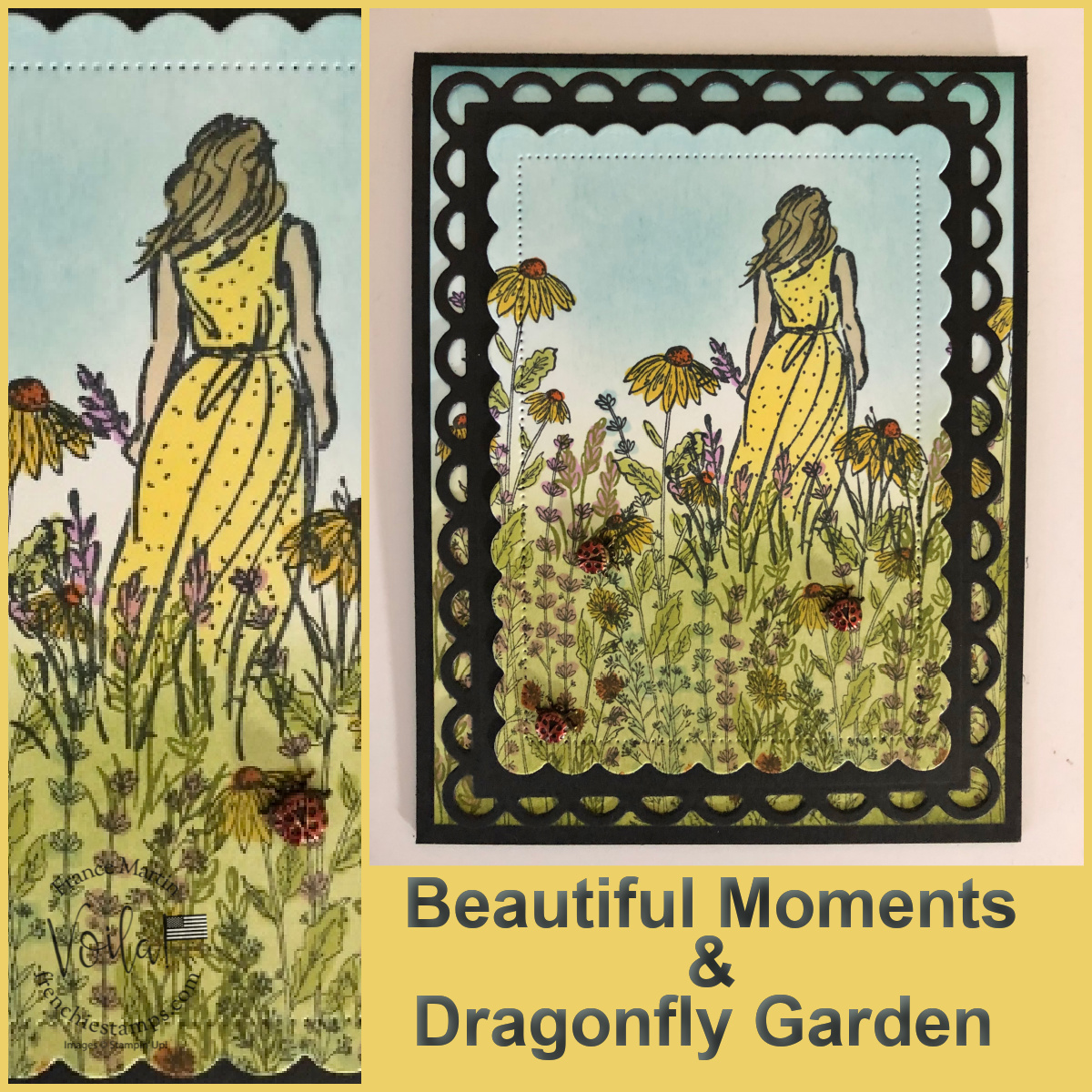 Lovely Scenery with Beautiful Moments and Dragonfly Garden