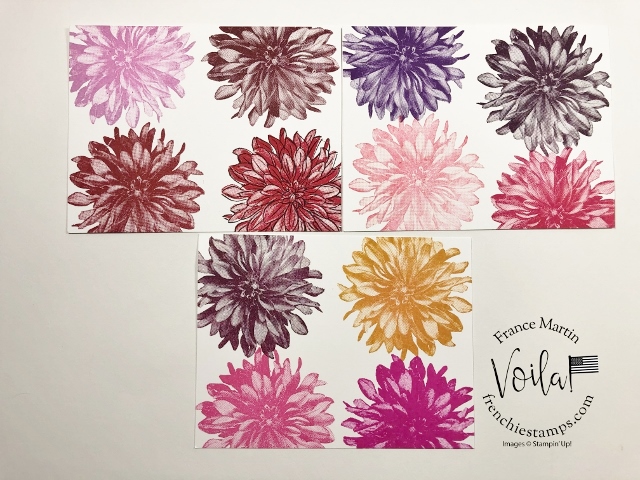 Tip Video for the Delicate Dahlias Stamp set. 