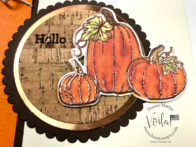 Easy way To Color On Vellum Pretty Pumpkins set Set