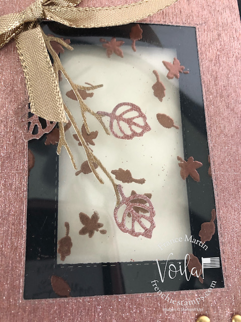 Gorgeous Leaves On A Window Framed Card. 
