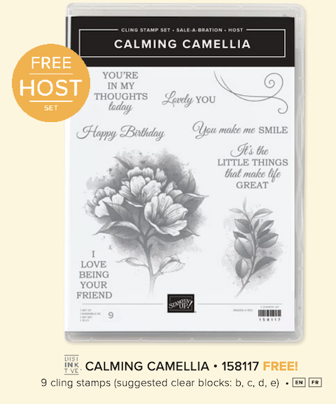 Calming Camellia Stamp Set 2022
