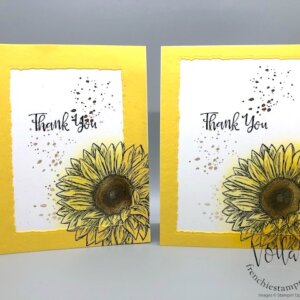 Celebrate Sunflowers Deckled Frame Card