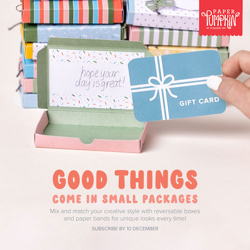 December Paper Pumpkin Kit, Good Things Come in Small Packages Craft Kit Delivered In Your Mail Box