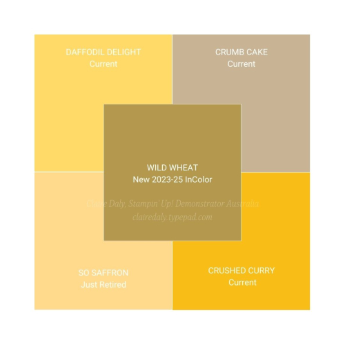 Wild Wheat 2023-25 In-Colors and Comparisons 